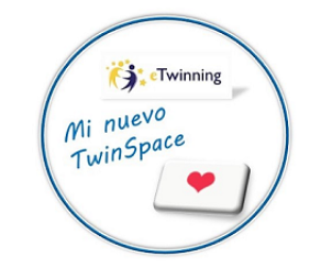Insignia_Actualizar_Perfil_TwinSpace